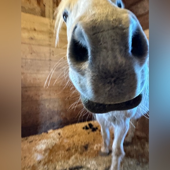 Meet your Posher, Maria - Picture 2 of 8